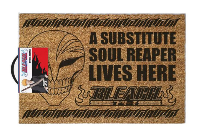 bleach substitute soul reaper